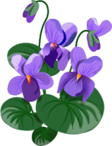 Purplebear's Purple Shopping - garden and outdoor